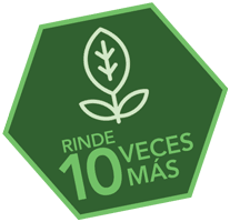 Logo Rinde